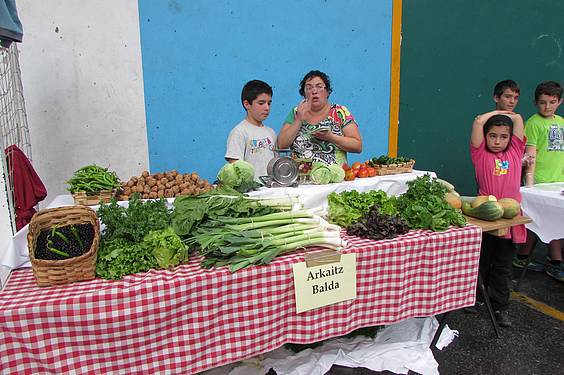 Alegiako azoka 3 1411997544971