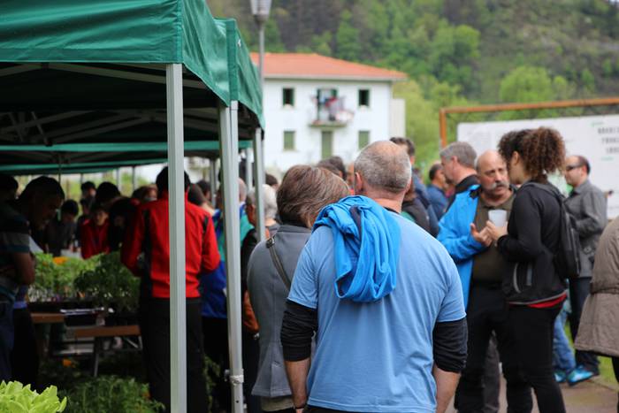 azoka ekologikoa alegia 2015 8 1430136684568