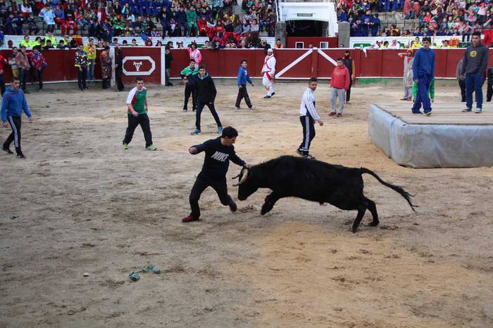 ostegun gizen 2015 zezenak 2 10 1423763475926