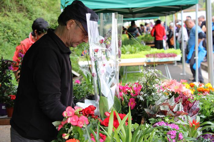 azoka ekologikoa alegia 2015 9 1430136686344