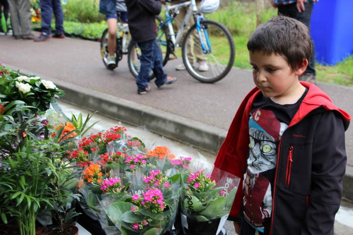 azoka ekologikoa alegia 2015 10 1430136687966