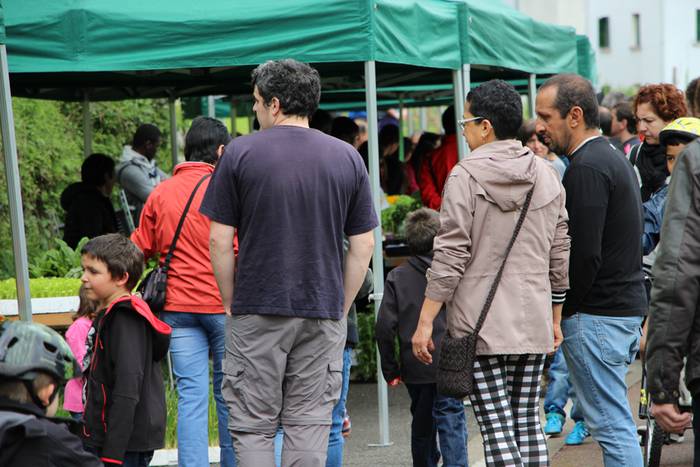 azoka ekologikoa alegia 2015 13 1430136691507