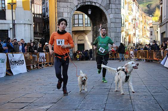 txakur krosa 2015 36 1422287501941