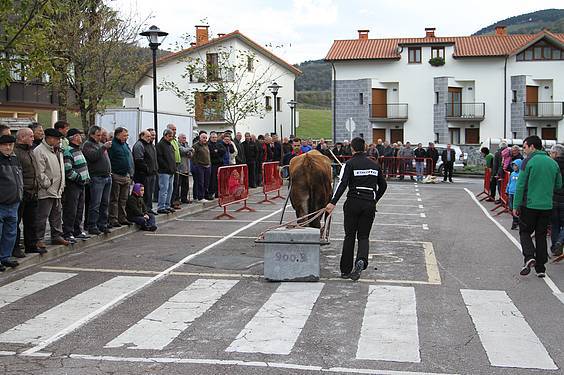 san martin amasan 2014 9 1415716779482