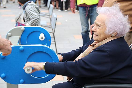 Asteazken osasuntsuak  28 1413372518852