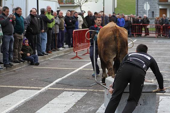 san martin amasan 2014 11 1415716780378