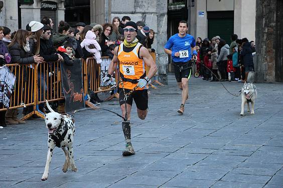 txakur krosa 2 2015 8 1422287728824