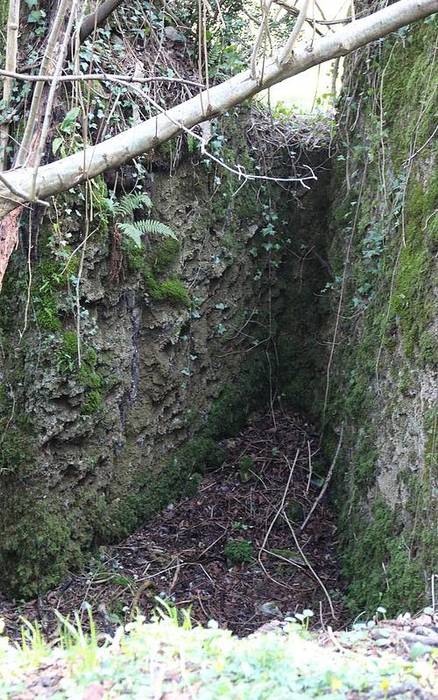 Elduain, Burdina taldea, Errotazar errota 9 1426608525267