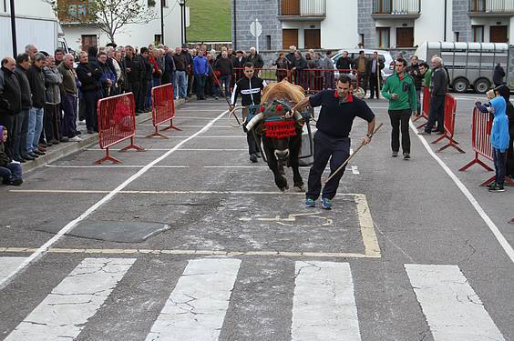 san martin amasan 2014 12 1415716780838