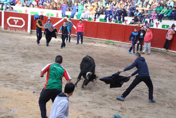 ostegun gizen 2015 zezenak 2 14 1423763480956