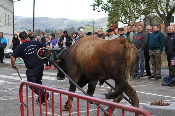 san martin amasan 2014 13 1415716781296