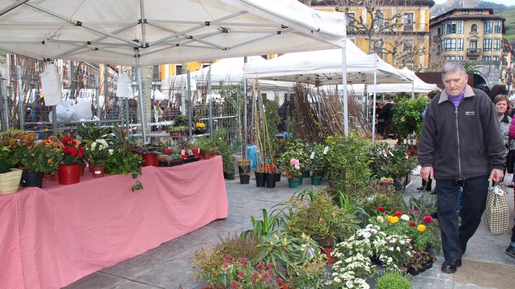 Zuhaitz azokak koloreztatu du Trianguloa plaza