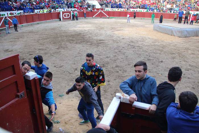 ostegun gizen 2015 zezenak 2 16 1423763483461