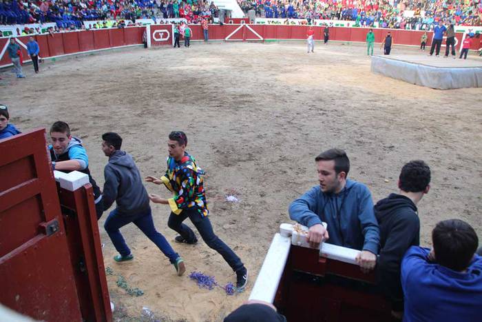 ostegun gizen 2015 zezenak 2 17 1423763484859