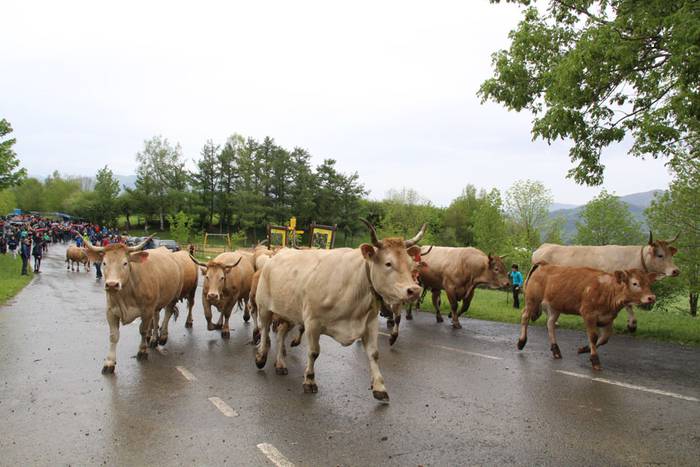 larre irekiera larraitz 2015 13 1430483164345