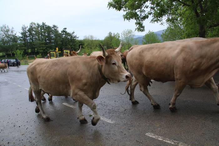 larre irekiera larraitz 2015 14 1430483165505