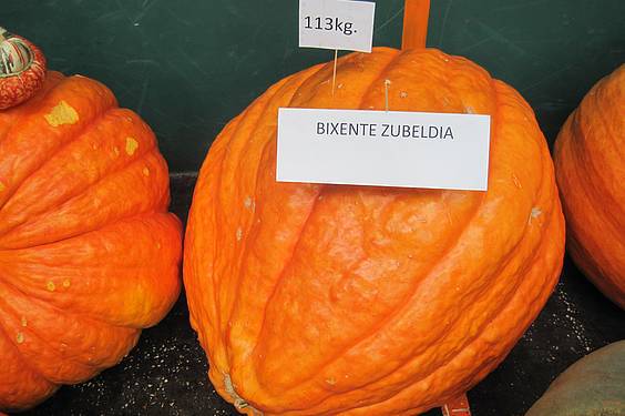 amezketako azoka 19 1413213061658