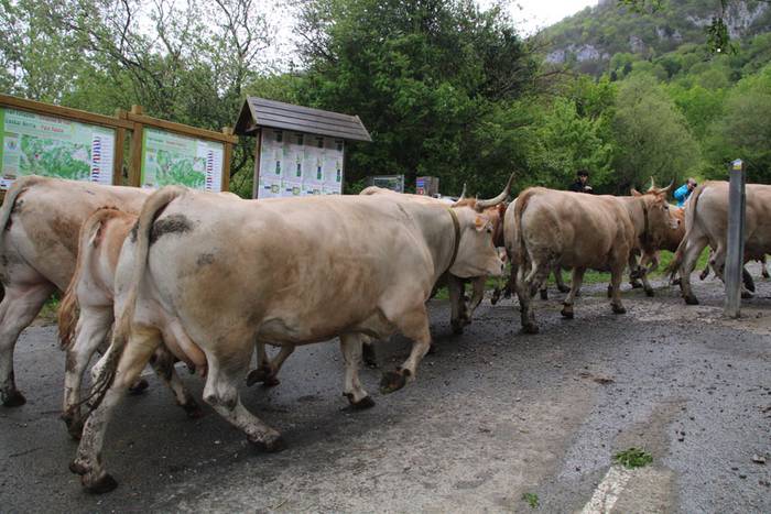 larre irekiera larraitz 2015 15 1430483166626