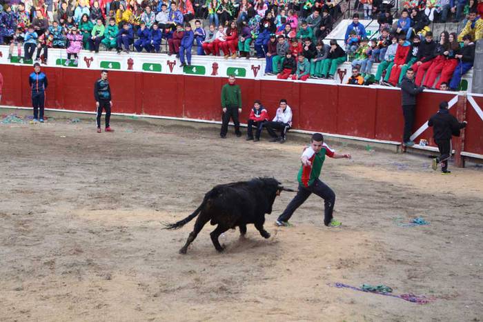 ostegun gizen 2015 zezenak 2 19 1423763487081