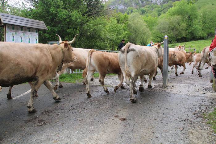 larre irekiera larraitz 2015 16 1430483168122