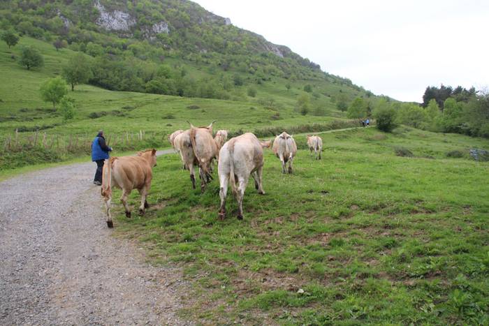 larre irekiera larraitz 2015 17 1430483169096