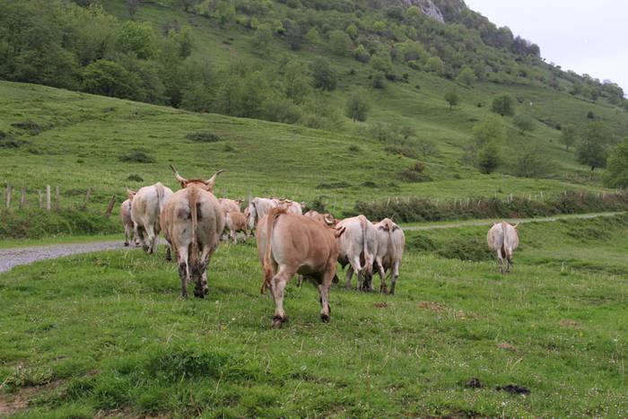 larre irekiera larraitz 2015 18 1430483170059