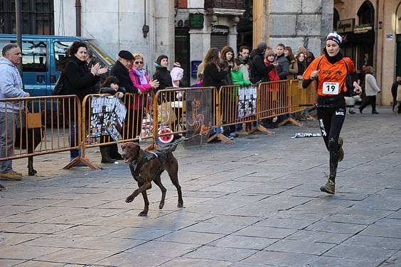 txakur krosa 2 2015 33 1422287741803