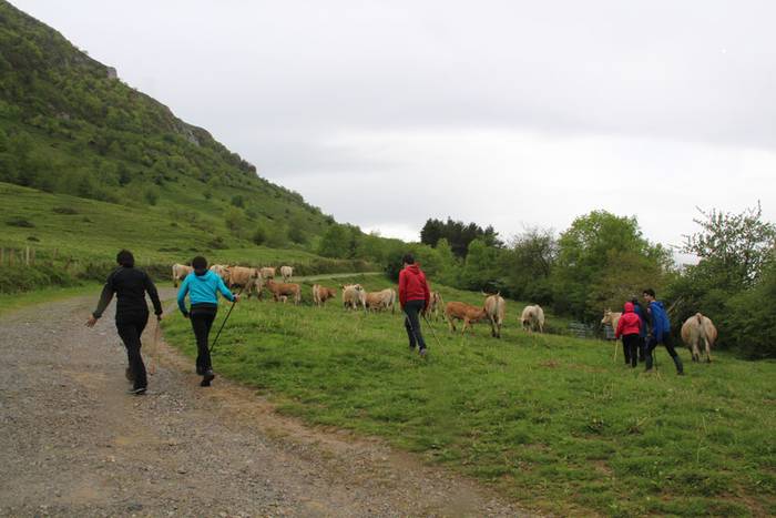 larre irekiera larraitz 2015 19 1430483171019