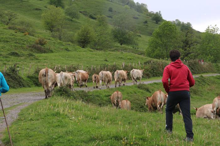 larre irekiera larraitz 2015 20 1430483172083