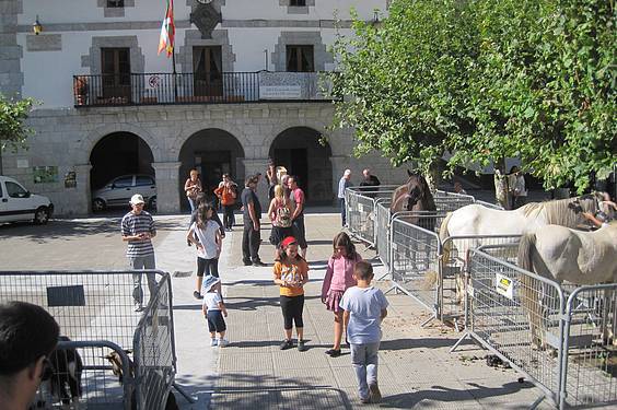 amezketako azoka 41 1413213073281