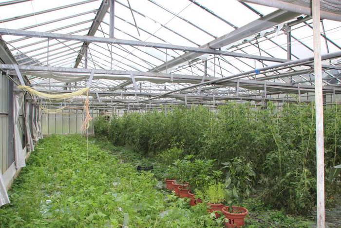 Berrobiko txikizioa 1 1438857186434