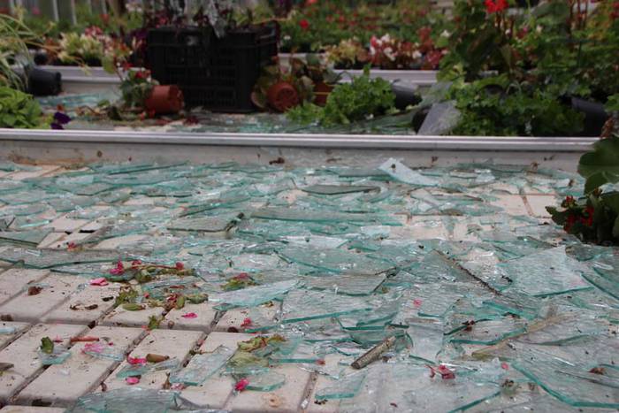 Berrobiko txikizioa 4 1438857187391