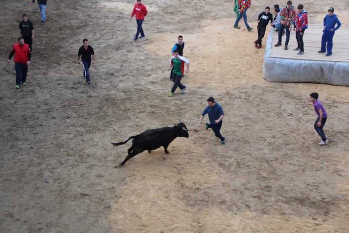 ostegun gizen 2015 zezenak 3 5 1423763587840