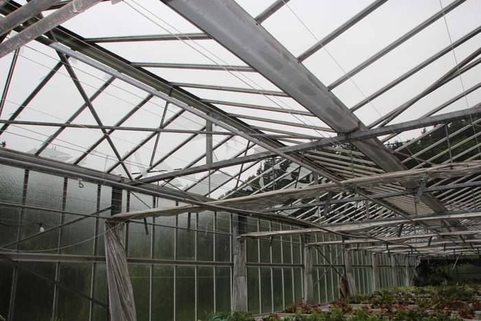 Berrobiko txikizioa 5 1438857187694