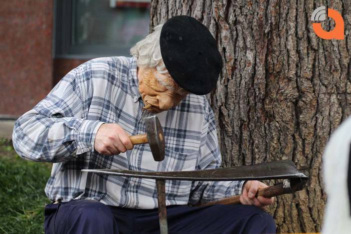 zaldunita inauteriak 2015 2 11 1424007947454