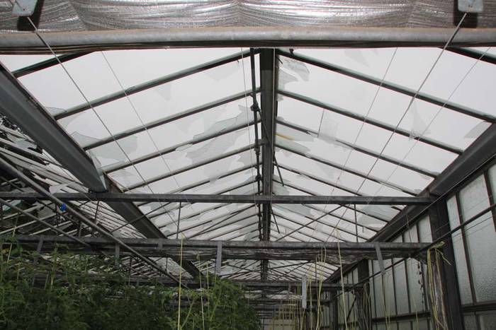 Berrobiko txikizioa 6 1438857187994