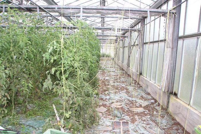 Berrobiko txikizioa 7 1438857188294