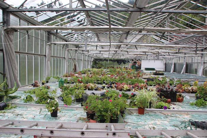 Berrobiko txikizioa 8 1438857188610