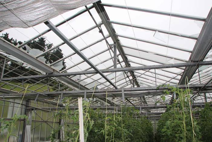 Berrobiko txikizioa 10 1438857189242