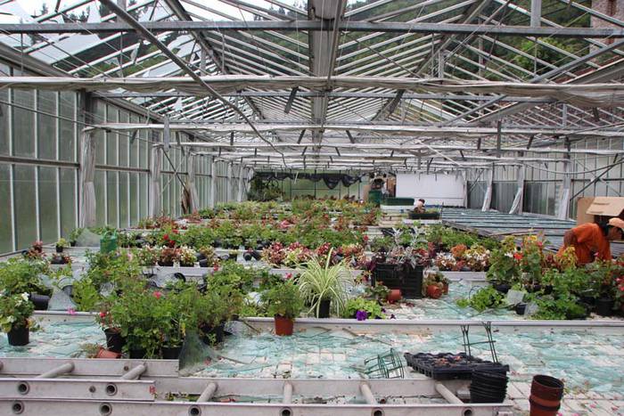 Berrobiko txikizioa 12 1438857189948