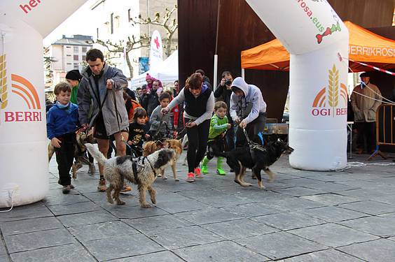 txakur krosa 3 2015 6 1422288891050