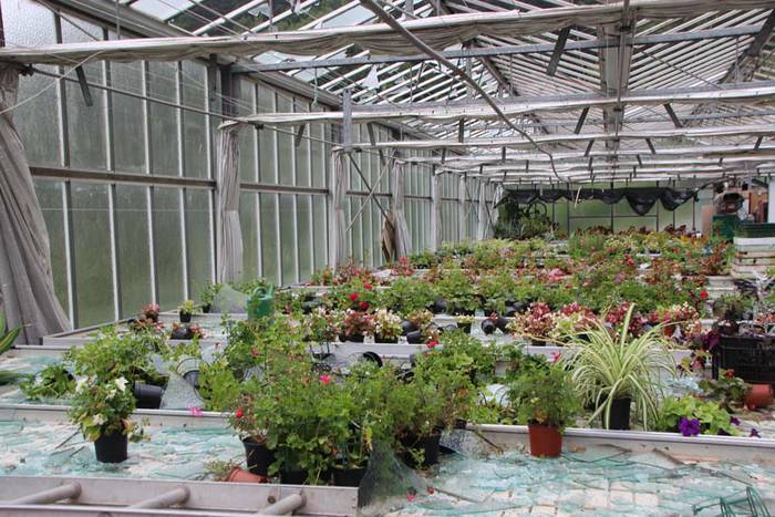 Berrobiko txikizioa 16 1438857191230