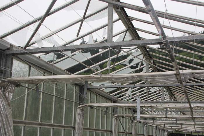 Berrobiko txikizioa 17 1438857191584