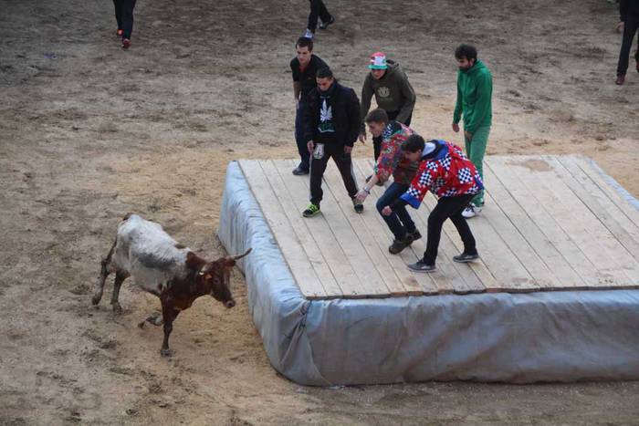 ostegun gizen 2015 zezenak 3 7 1423763590087