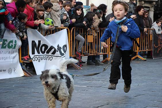 txakur krosa 3 2015 10 1422288893572