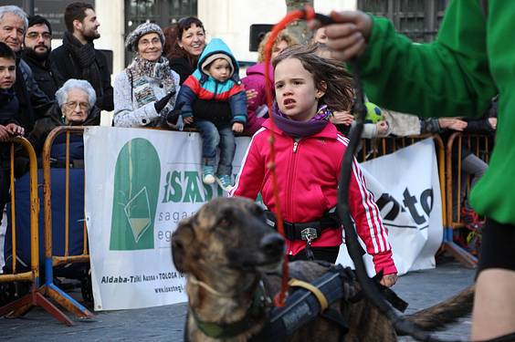 txakur krosa 3 2015 11 1422288894044