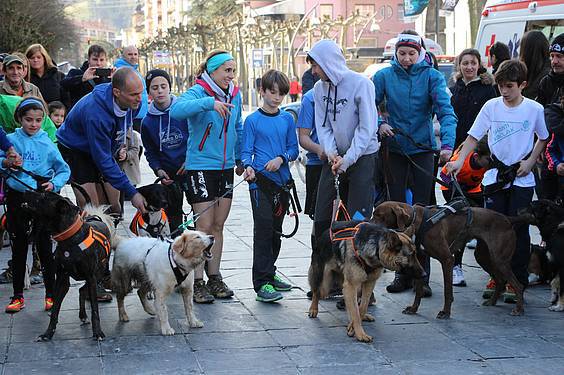 txakur krosa 3 2015 14 1422288895641