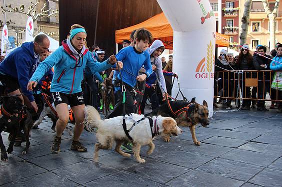 txakur krosa 3 2015 15 1422288896237