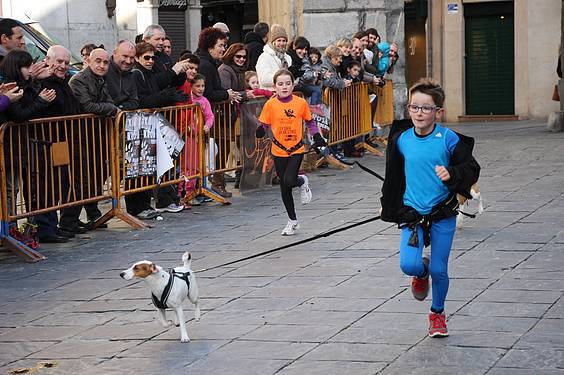 txakur krosa 3 2015 19 1422288898635