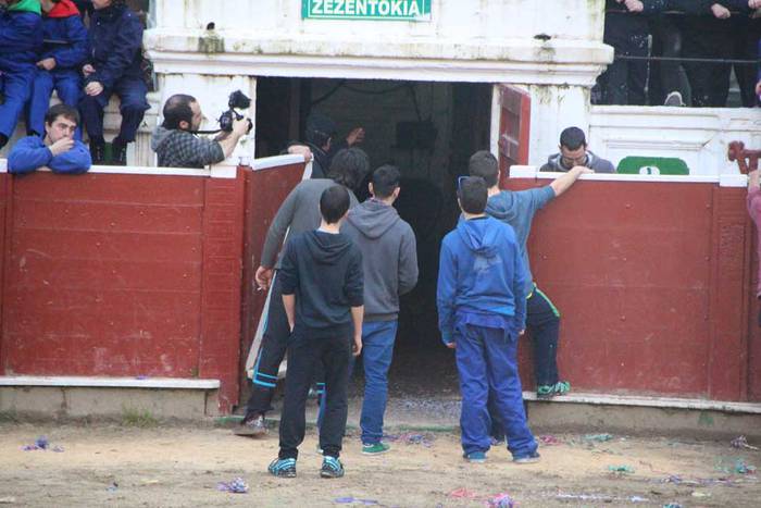 ostegun gizen 2015 zezenak 3 13 1423763597107